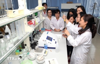 Giải bài toán công nghệ Việt thông qua chuỗi liên kết 3 nhà