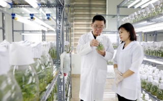 Đột phá theo Nghị quyết 57: Làm chủ công nghệ, mở đường cho tăng trưởng