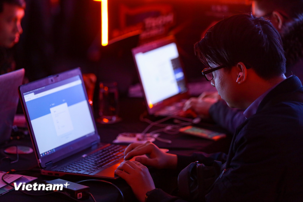 Ảnh minh họa. (Nguồn: Vietnam+) vnp-hacker-1-4077.jpg