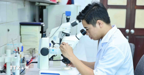 Chuyên gia: Cơ chế linh hoạt là đòn bẩy trong phát triển công nghệ chiến lược