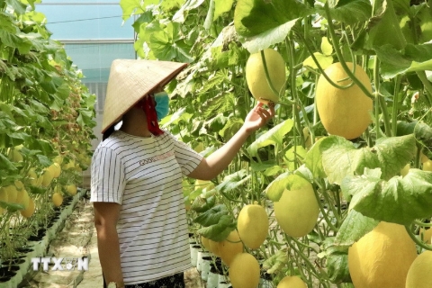 Bộ Nông nghiệp và Môi trường công bố kế hoạch đổi mới sáng tạo thời kỳ 2026-2030