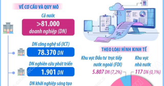 Doanh nghiệp công nghệ số giữ vai trò chủ lực trong hệ sinh thái đổi mới..