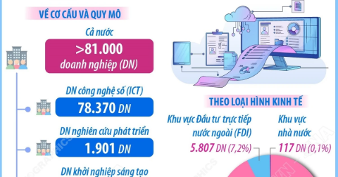 Doanh nghiệp công nghệ số giữ vai trò chủ lực trong hệ sinh thái đổi mới..