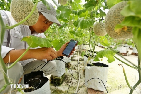 Điều kiện thành lập khu nông nghiệp ứng dụng công nghệ cao