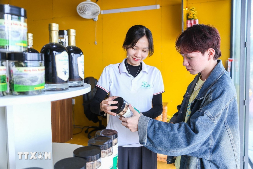 ttxvn-toi-ly-son-7-resize.jpg