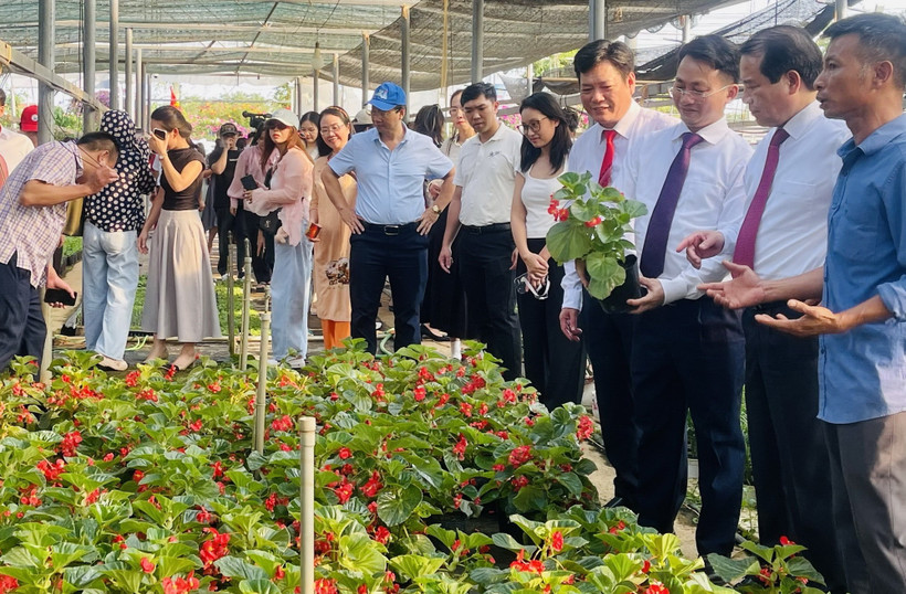 Chuyển đổi số mở không gian tăng trưởng mới cho nông nghiệp xanh ở xã Phúc Thọ
