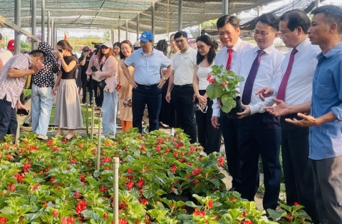 Chuyển đổi số mở không gian tăng trưởng mới cho nông nghiệp xanh ở xã Phúc Thọ