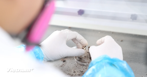 Trong phòng Lab giám định ADN: Nơi khoa học thắp hy vọng đưa các liệt sĩ trở về