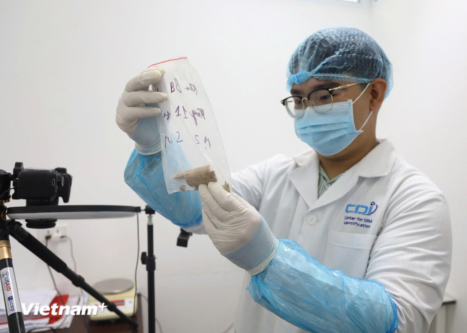 Ít ai biết rằng phía sau những kết quả giám định ADN là biết bao giờ làm việc trong phòng thí nghiệm và cả những trăn trở của các nhà khoa học trước từng mẫu hài cốt chưa xác định được danh tính. Với họ, thành công của một ca giám định không chỉ được đo bằng độ chính xác của kết quả, mà còn bằng niềm vui khi một gia đình có thể gọi đúng tên người thân sau nhiều năm chờ đợi. Trong sự lặng lẽ của phòng Lab, khoa học đang góp phần nối lại những ký ức còn dang dở, để hành trình tri ân các anh hùng liệt sĩ được tiếp tục bằng tri thức, trách nhiệm và lòng nhân văn. (Ảnh: Dương Linh/Vietnam+) ​ ​ ​ ​ ​