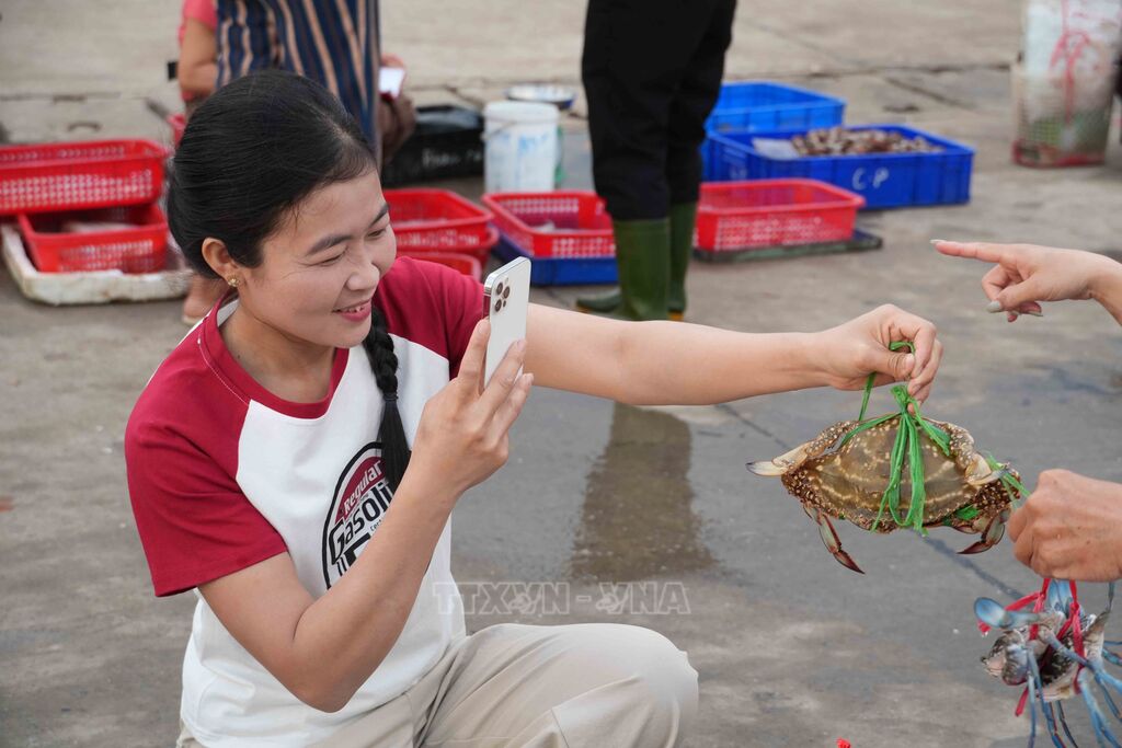 Những món hải sản tươi ngon của vùng biển Hà Tĩnh được chị Võ Thị Lành (xã Cẩm Trung) giới thiệu qua các video ngắn trên nền tảng số. (Ảnh: Hữu Quyết/TTXVN) Những món hải sản tươi ngon của vùng biển Hà Tĩnh được chị Võ Thị Lành (xã Cẩm Trung) giới thiệu qua các video ngắn trên nền tảng số. (Ảnh: Hữu Quyết/TTXVN)