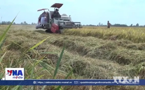 Khuyến khích phát triển nông nghiệp hiện đại