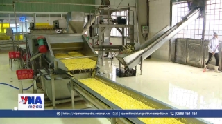 Việt Nam phấn đấu làm chủ công nghệ sinh học thế hệ mới