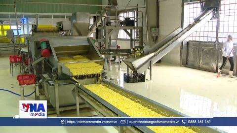 Việt Nam phấn đấu làm chủ công nghệ sinh học thế hệ mới