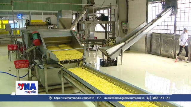 Việt Nam phấn đấu làm chủ công nghệ sinh học thế hệ mới