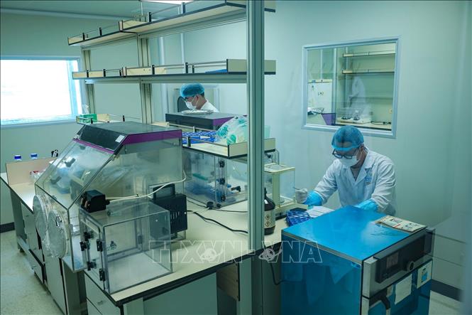 Chuẩn bị mẫu ADN trong điều kiện vô nhiễm nghiêm ngặt nhằm ngăn ADN ngoại lai, tránh nhiễm chéo, bảo đảm kết quả giám định chính xác. (Ảnh: Hoàng Hiếu/TTXVN)