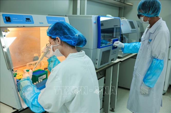 Đội ngũ kỹ thuật viên, chuyên gia giàu kinh nghiệm trực tiếp thực hiện xét nghiệm ADN theo tiêu chuẩn phòng thí nghiệm quốc tế, bảo đảm chất lượng và độ chính xác của kết quả. (Ảnh: Hoàng Hiếu/TTXVN)