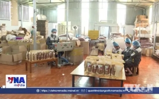 Tự động hóa tạo động lực cho nông nghiệp Điện Biên