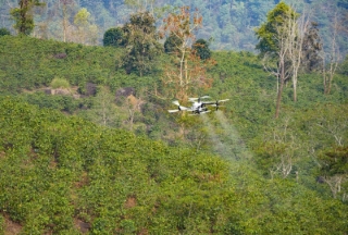 Thử nghiệm ứng dụng UAV trong nông nghiệp tại Điện Biên và ghi nhận nhiều kết quả tích cực. Ảnh: TTXVN