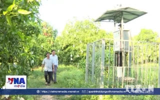 Chuyển đổi số đưa nông nghiệp Đồng Tháp vào kỷ nguyên hiện đại