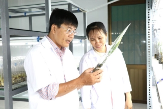 Tạo sức bật cho hệ sinh thái đổi mới sáng tạo