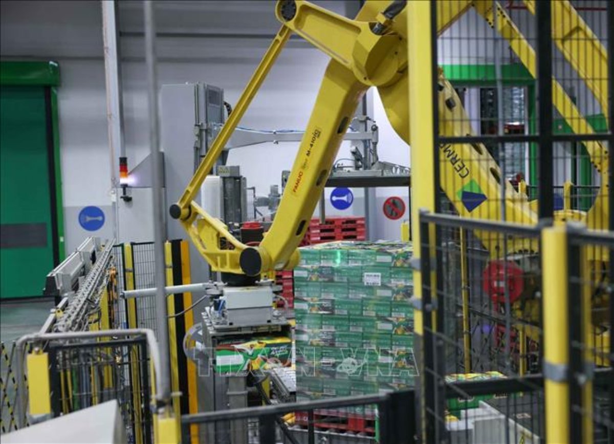 Công ty đầu tư hệ thống các cánh tay robot xếp pallet tự động giúp vận chuyển chính xác các hộp sản phẩm, bứt phá năng suất lao động, đảm bảo chất lượng sản phẩm. (Ảnh: Hoàng Hiếu/TTXVN)