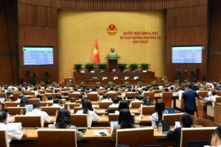 Quốc hội thông qua cơ chế đặc thù để xử lý vi phạm về kinh tế