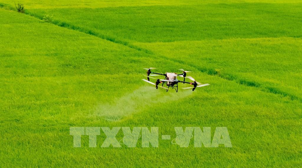 Thiết bị bay không người lái hỗ trợ phun thuốc bảo vệ thực vật trên các cánh đồng lớn ở Ninh Bình.&nbsp; (Ảnh: Nguyễn Lành - TTXVN)