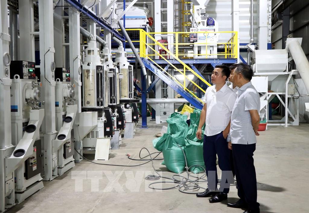 Dây chuyền sản xuất gạo chất lượng cao của Công ty TNHH Cường Tân, xã Ninh Cường (Ninh Bình).&nbsp; (Ảnh: Nguyễn Lành - TTXVN)