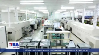 Chuyển đổi kép: Chiến lược để doanh nghiệp phát triển bền vững