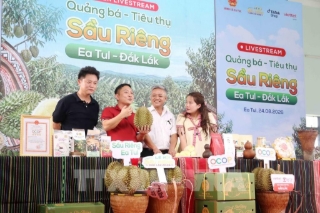 Đưa sầu riêng lên sóng, Đắk Lắk thúc đẩy kinh tế số nông nghiệp