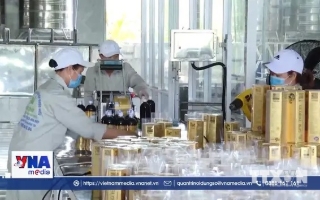 Nâng năng lực công nghiệp bằng công nghệ
