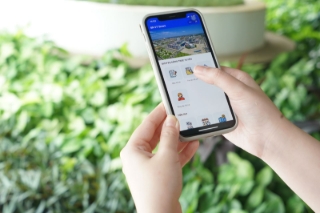 Ứng dụng OTT Việt Nam có đủ sức cạnh tranh với nước ngoài?