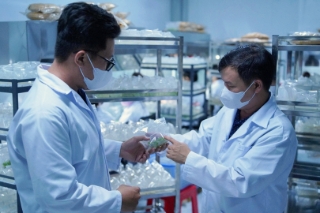 Thành phố Hồ Chí Minh đề xuất gỡ điểm nghẽn thương mại hóa nghiên cứu
