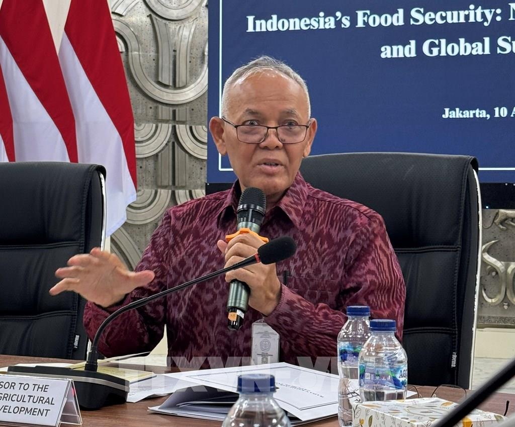 Giáo sư Hasil Sembiring, Cố vấn đặc biệt của Bộ trưởng Nông nghiệp Indonesia, chia sẻ quan điểm tại một sự kiện. (Ảnh: Đỗ Quyên – PV TTXVN tại Indonesia)