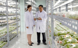 TP Hồ Chí Minh cụ thể hóa Nghị quyết 57 - Bài cuối: Thu hút nhân tài, tạo động lực mới