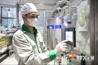 Nhân viên kỹ thuật kiểm tra, theo dõi hoạt động của thiết bị trong dây chuyền sản xuất. (Ảnh: Lê Đông/TTXVN)