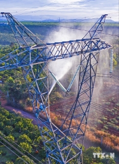 Truyền tải điện Gia Lai vệ sinh sứ Hotline đường dây 500kV mạch 1. (Ảnh: Huy Hùng/TTXVN)