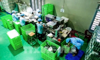 Doanh nghiệp Tây Ninh chuyển mình nhờ công nghệ