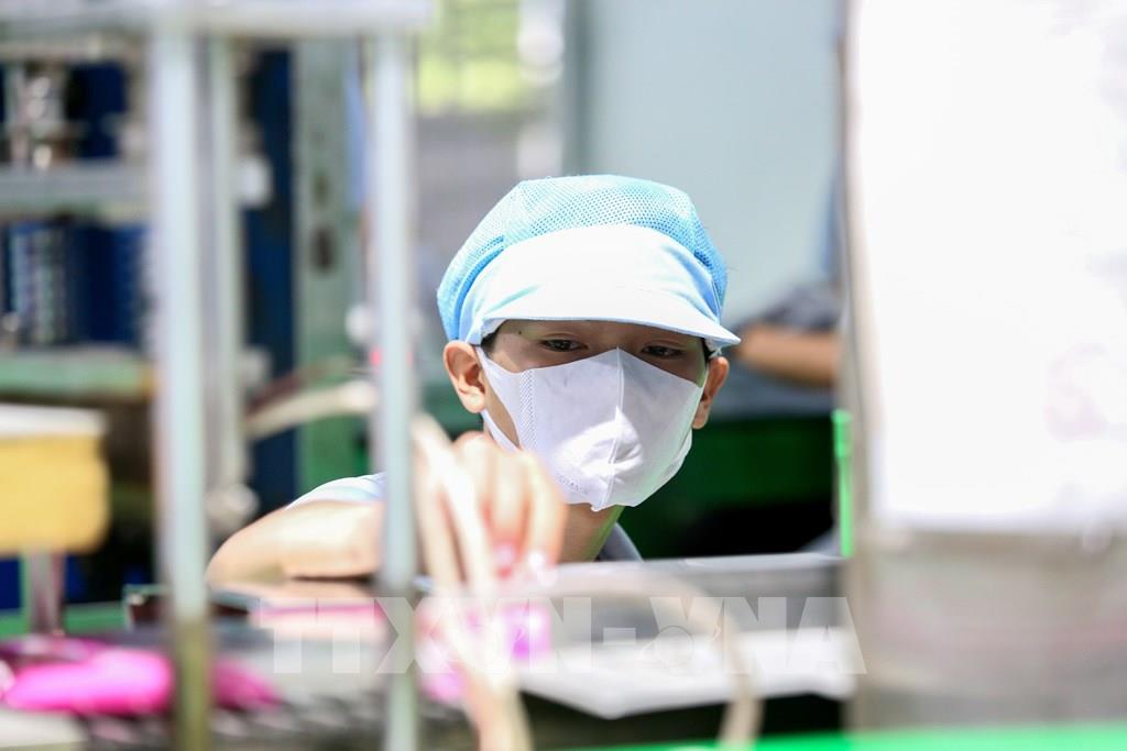 Ứng dụng công nghệ vào sản xuất bánh tráng giúp doanh nghiệp Tây Ninh kiểm soát tốt hơn chất lượng và quy trình sản xuất. (Ảnh: Giang Phương - TTXVN)