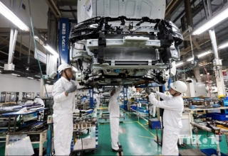 Chiến lược đẩy mạnh ứng dụng công nghệ là yếu tố quan trọng giúp Honda Việt Nam (HVN) tăng trưởng mạnh mẽ, tập trung cải thiện tính năng an toàn chủ động, kết nối thông minh và tiết kiệm nhiên liệu. Bước tiến này đã giúp thương hiệu đến từ Nhật Bản giữ vững vị trí uy tín với người tiêu dùng Việt.