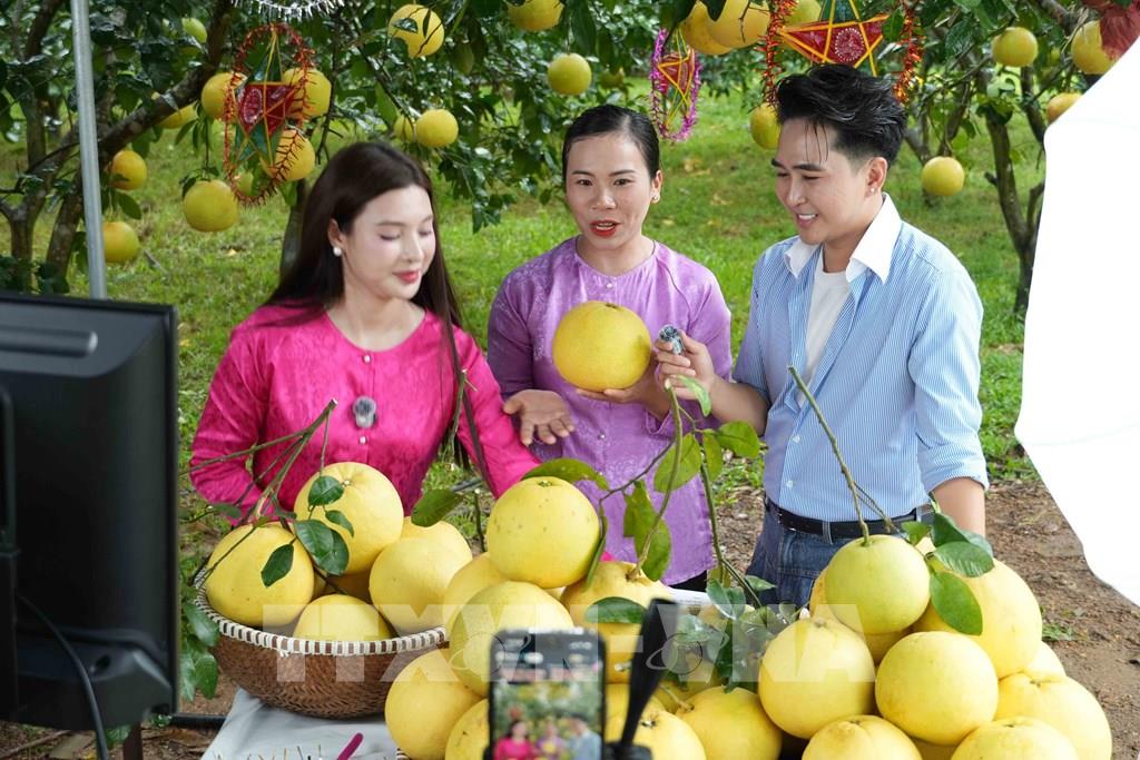 Chị Trần Huyền Ân (giữa), Hợp tác xã Nông nghiệp Choa, xã Phúc Trạch, tham gia livestream bán hàng. (Ảnh: Hữu Quyết – TTXVN)