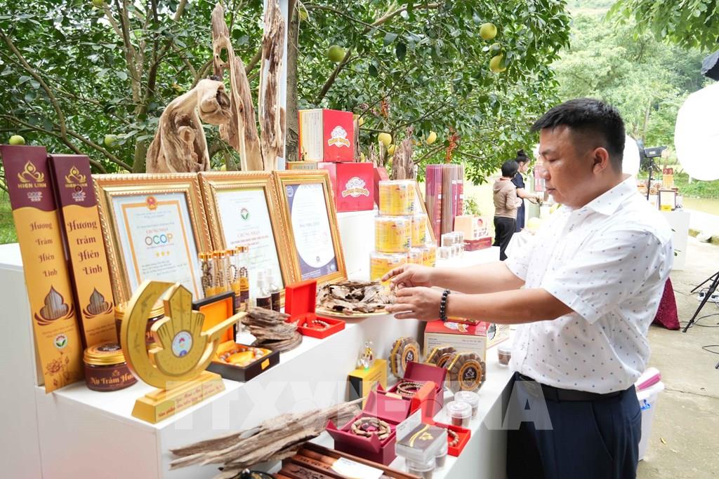 Hợp tác xã trầm hương Hiền Linh (xã Phúc Trạch) hiện có nhiều sản phẩm OCOP. (Ảnh: Hữu Quyết – TTXVN)
