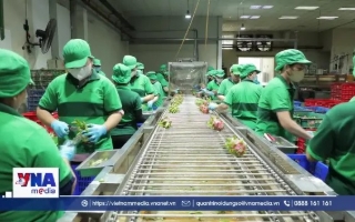 Công nghệ giúp tăng sức cạnh tranh cho nông sản Việt