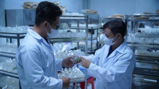 Kết nối nguồn lực khoa học để thúc đẩy phát triển Thành phố Hồ Chí Minh
