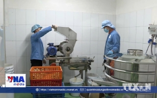 Công nghệ nối dài cánh tay cho hàng Việt Nam