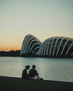 Singapore dùng thuật toán "mai mối" công chức trẻ