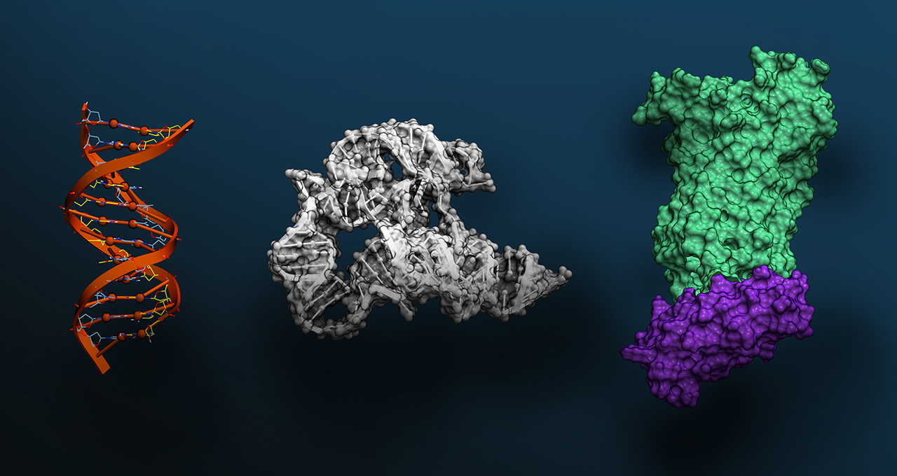 Mô hình AI phân tích trình tự di truyền và tìm kiếm những mẫu hình ẩn trong “ngôn ngữ” DNA. (Ảnh: NVIDIA/Arc Institute) Mô hình AI phân tích trình tự di truyền và tìm kiếm những mẫu hình ẩn trong “ngôn ngữ” DNA. (Ảnh: NVIDIA/Arc Institute)