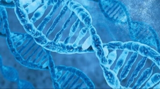 Phát triển AI giải mã “ngôn ngữ” bộ gene người