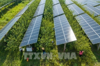 Pin lưu trữ năng lượng có thể được coi như một “kho điện dự phòng” giúp các hộ gia đình và doanh nghiệp chủ động về nguồn điện, giảm phụ thuộc hoàn toàn vào điện lưới.