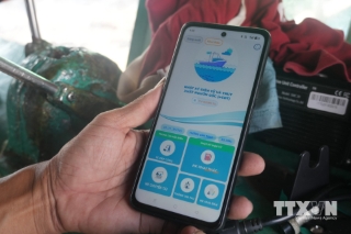 Ngư dân Thanh Hóa sử dụng thành thạo nhật ký điện tử và truy xuất nguồn gốc e-CDT trên điện thoại thông minh. (Ảnh: Hoa Mai/TTXVN)